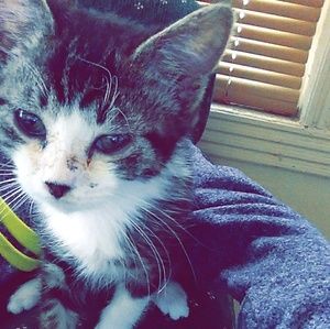 Meet your Posher, Brandie